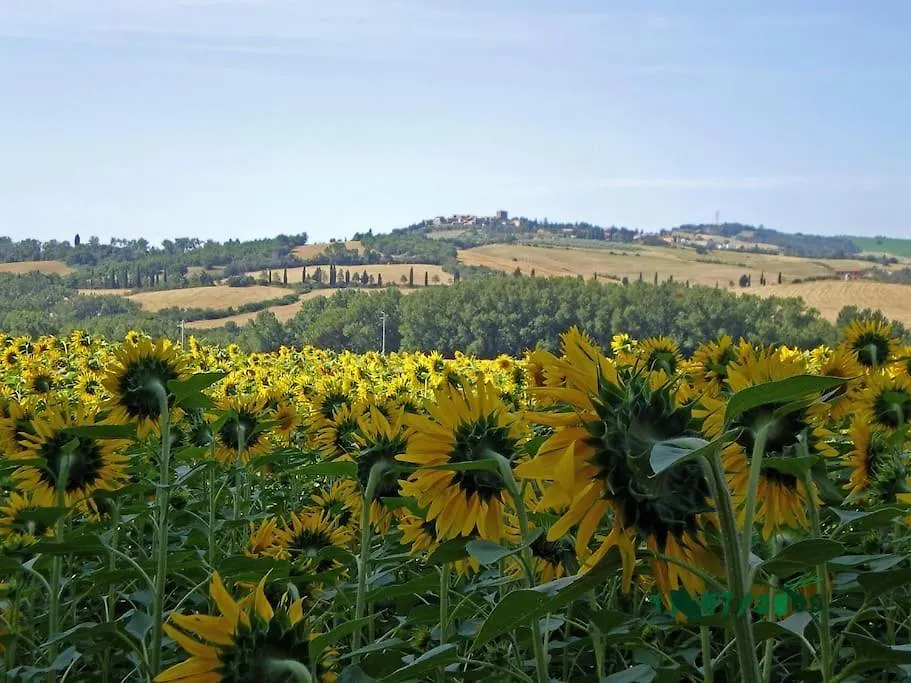 Villa Marta Contignano